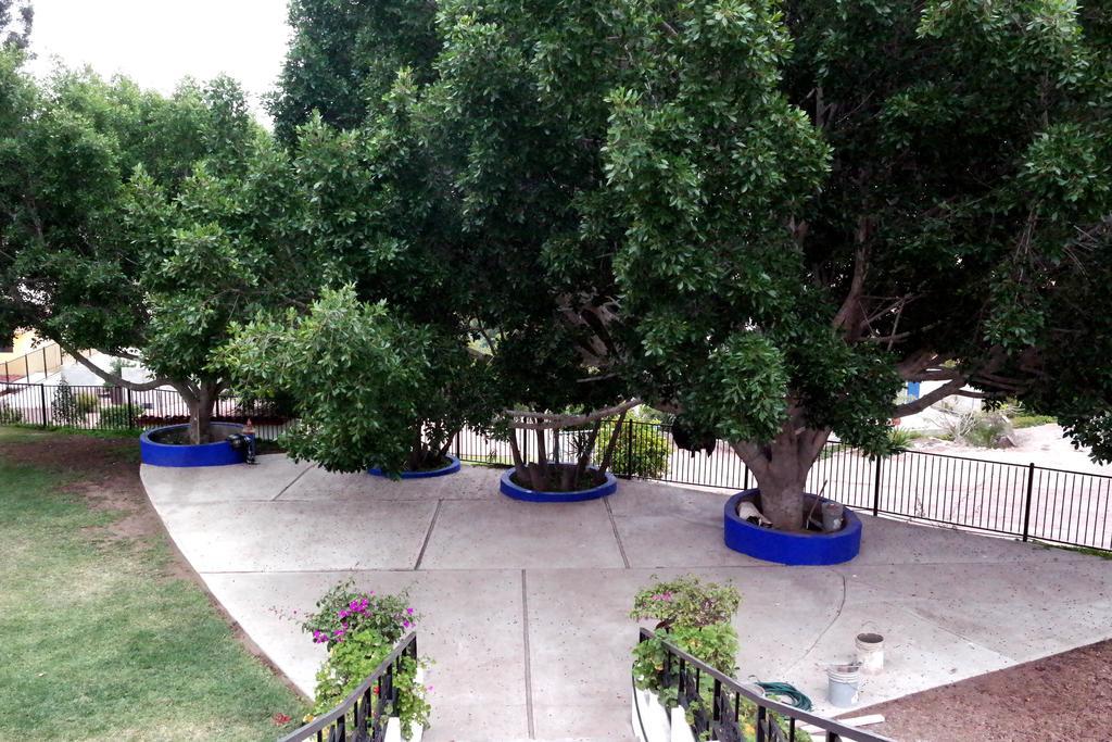Quinta Los Arrayanes Hotel Ensenada Exterior photo